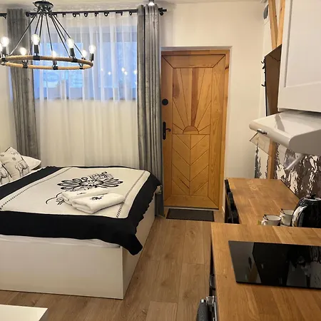 Apartament SMALL Czarny Potok Krynica-Zdrój Zewnętrze zdjęcie