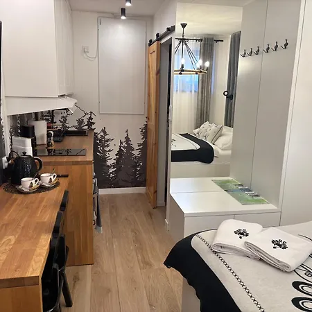 Apartament SMALL Czarny Potok Krynica-Zdrój Zewnętrze zdjęcie